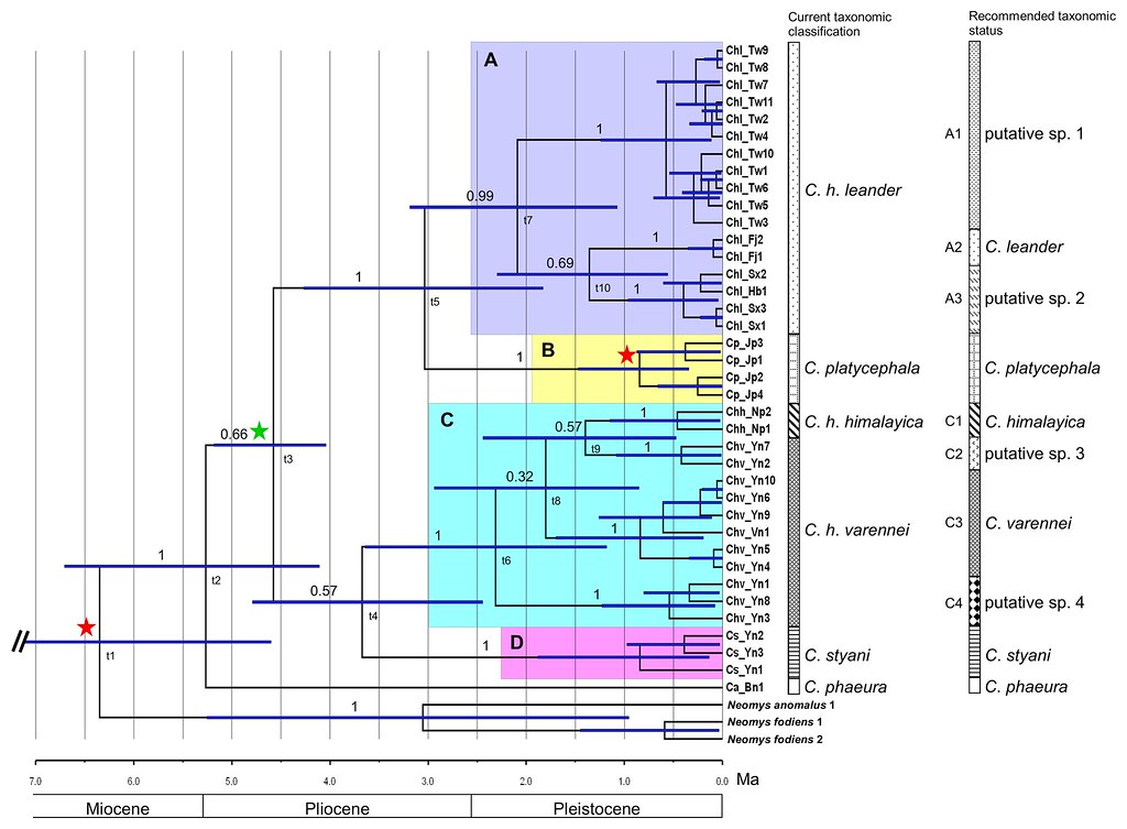 Molecular clock age calibrations: What’s the Right Approach?